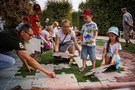 Królewski Piknik, 31 sierpnia 2024 r. 