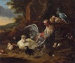 Kogut, kura z kurczętami i gołębiami Hondecoeter, Melchior de (1635/1636-1695) (autor)